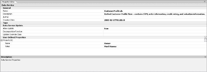 User-Defined Property for a Logical Data Service