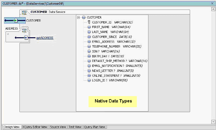 Design View of Native Type