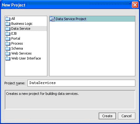 Creating a New Data Service Project