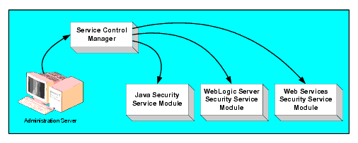 AquaLogic Enterprise Security Product Environment