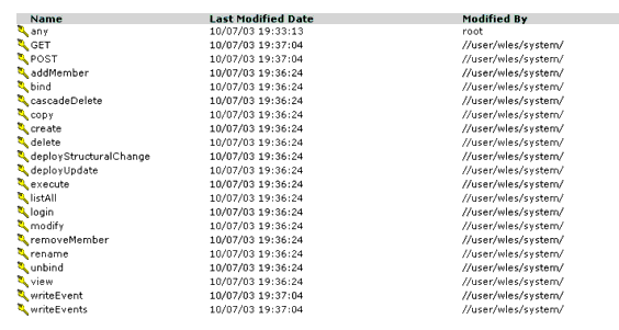 Privilege Representation in the Administration Console