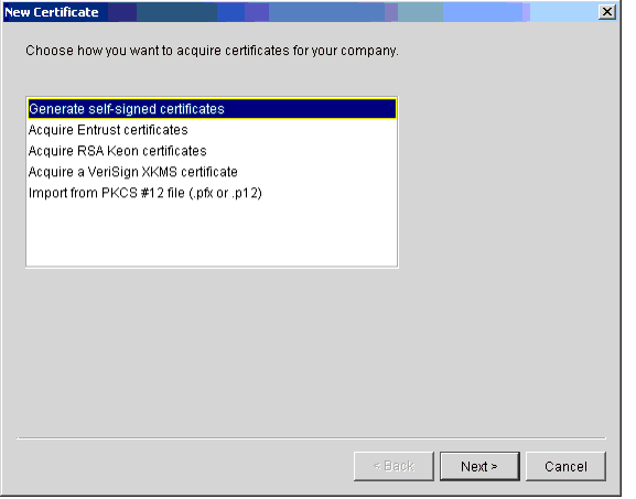 New Certificate Wizard, Select Certificate Type Window