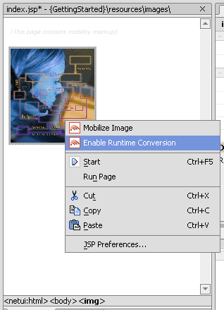 Selecting Enable Runtime Conversion for an Image