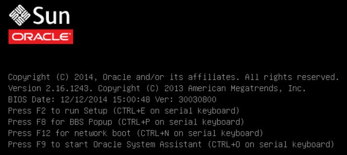 image:Graphic showing BIOS Screen.