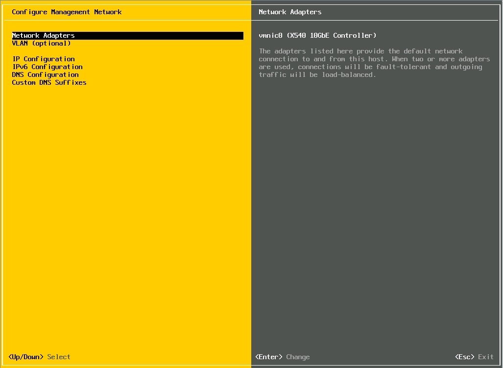 image:ESXi Configure Management Network screen
