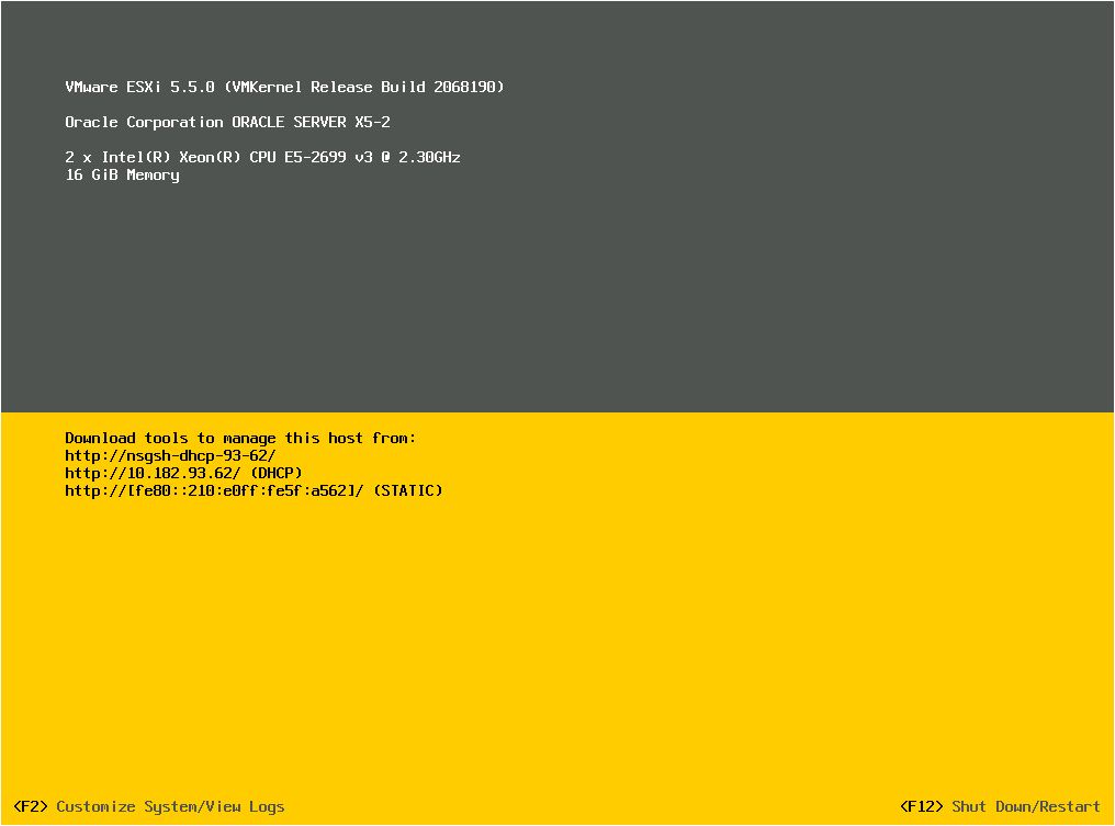 image:VMware ESXi direct console screen