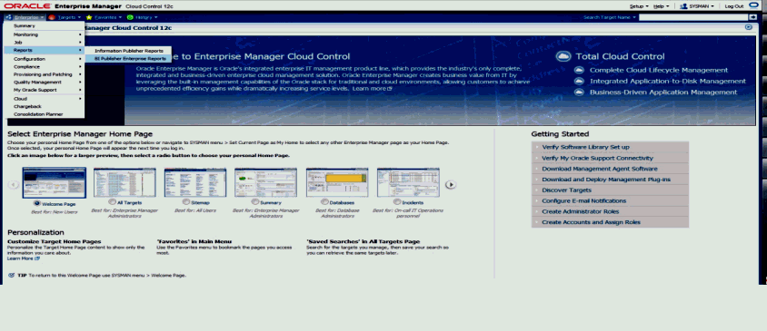 select BI Publisher