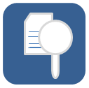Auditing Icon