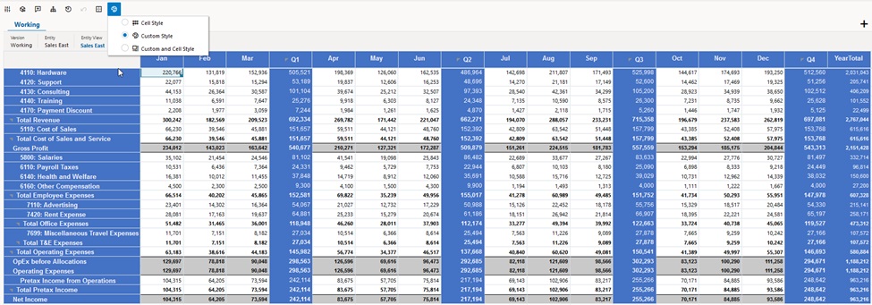 Webformular mit Formatierungsregeln zur Entwurfszeit und angewendeten benutzerdefinierten Stilen