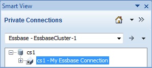 Panel Smart View con el &aacute;rbol ampliado y el nombre de conexi&oacute;n seleccionado