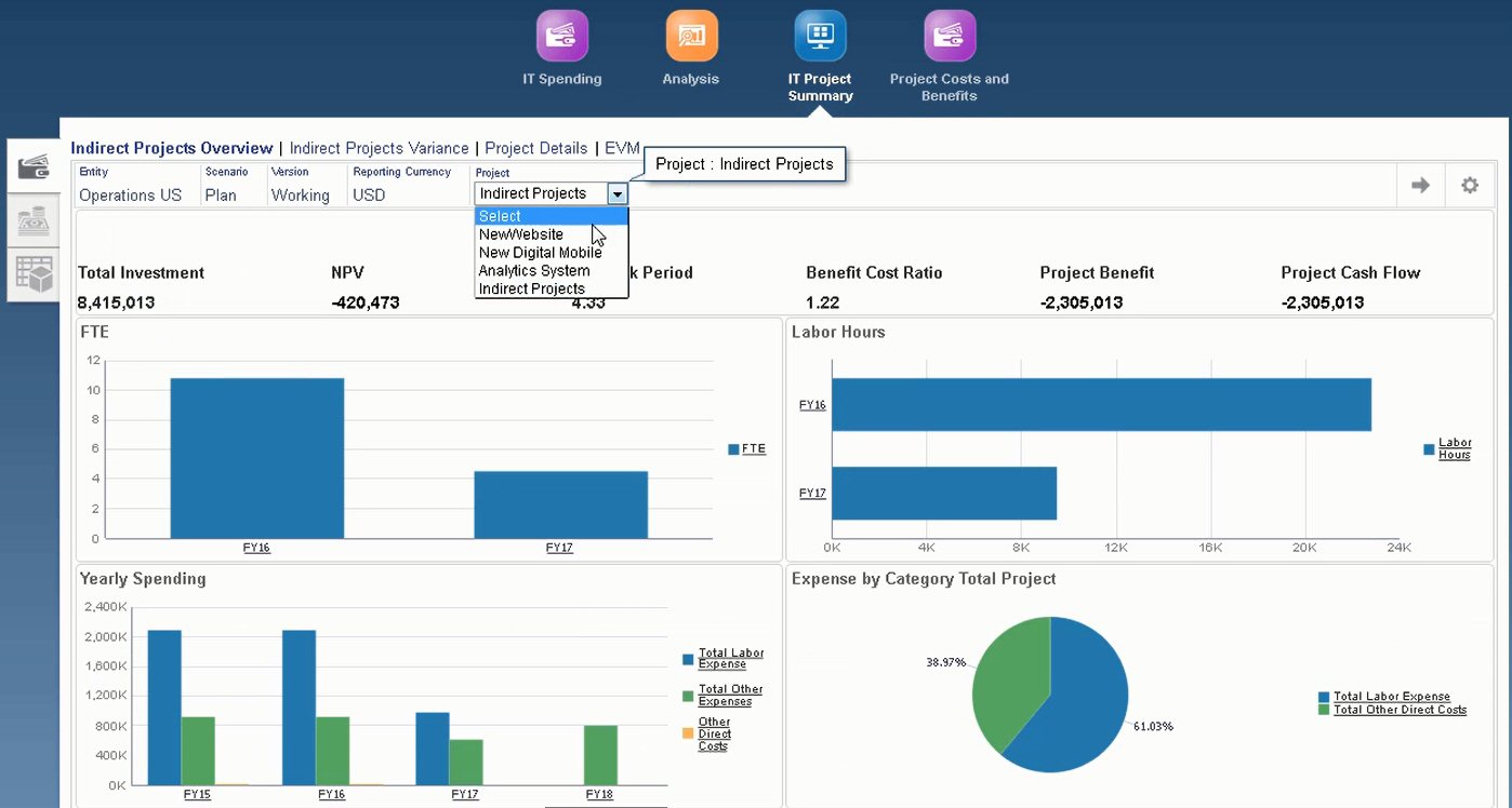 Resumen de proyecto de TI de ejemplo