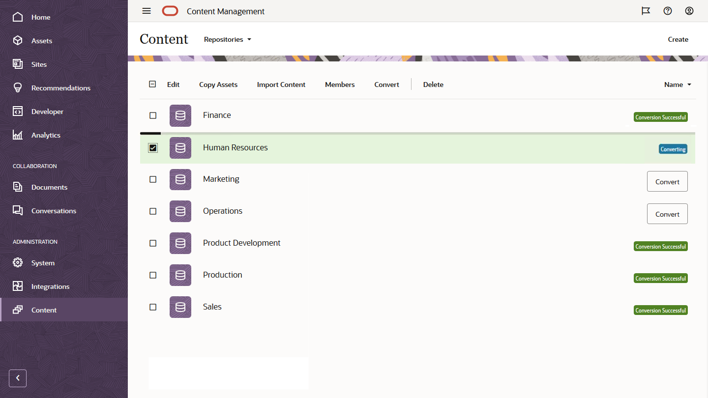 Pagina Repository che mostra lo stato di conversione (descritto nel testo)