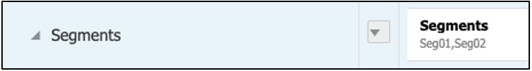 「Segments」ディメンションのPOV選択が含まれた「Segments」セクション