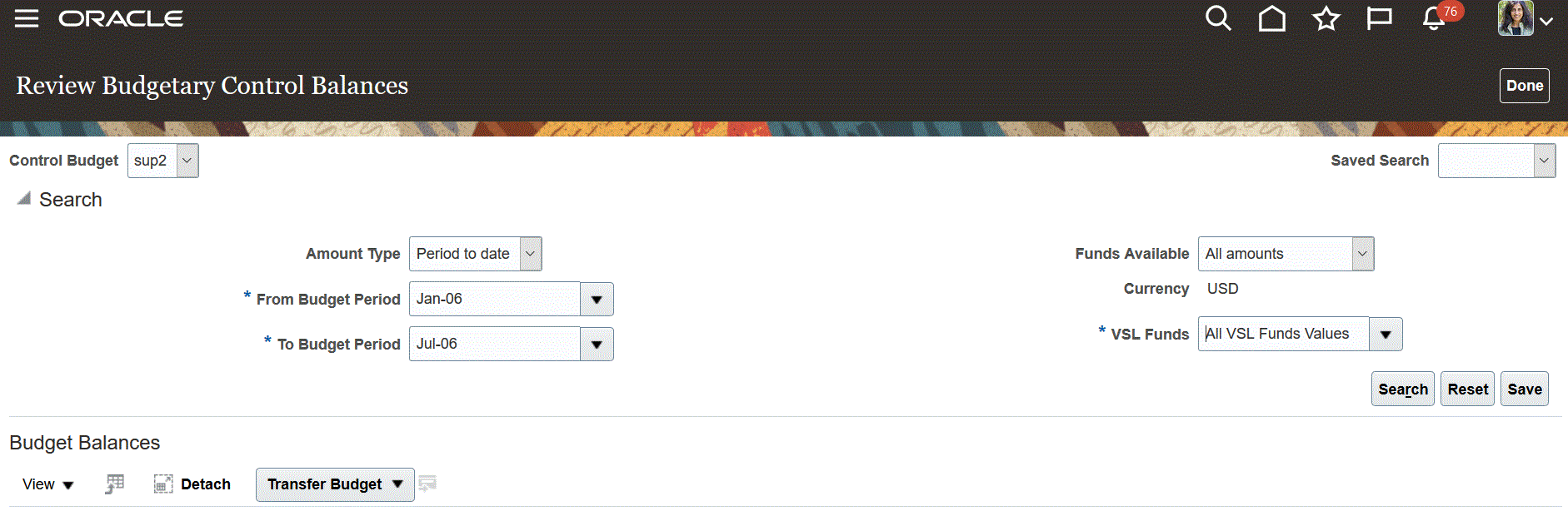 Budgetary Control 잔액 검토 페이지 이미지