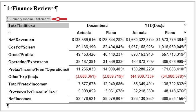 在 Word doclet 中选择了嵌入的内容后,将显示嵌入内容的标题 "Summary Income Statement" 在 Word doclet 中选择了嵌入的内容后,将显示嵌入内容的标题 "Summary Income Statement"