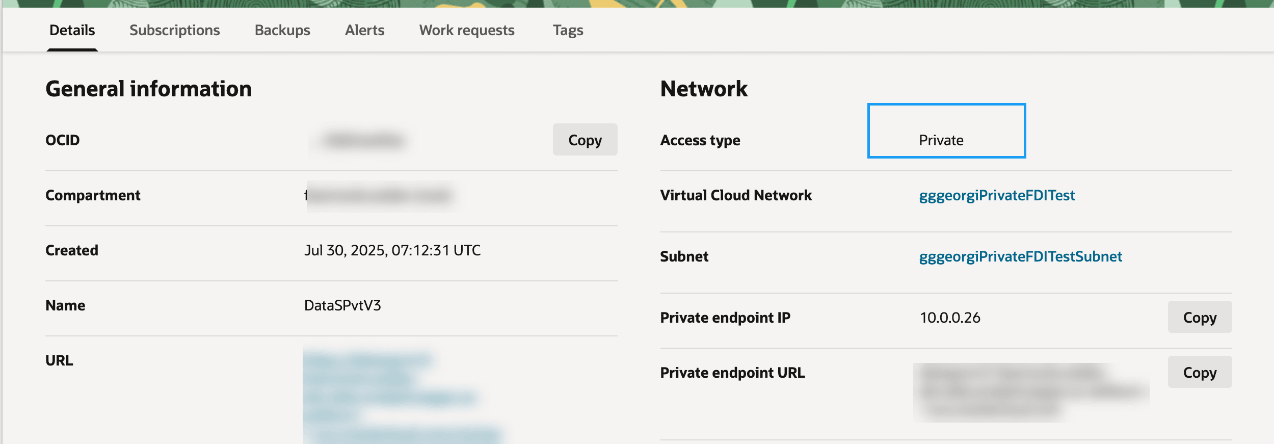Description of fawag-fdi-pvt-instance-details-oak.png follows