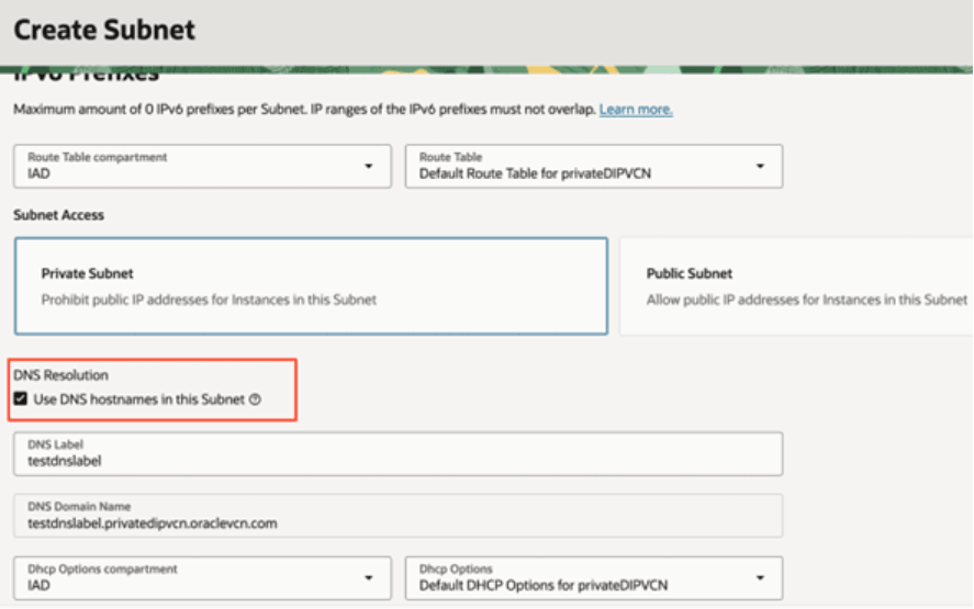 Description of fawag-fdi-pvt-instance-dnshostname-subnet-oak.png follows Description of fawag-fdi-pvt-instance-dnshostname-subnet-oak.png follows