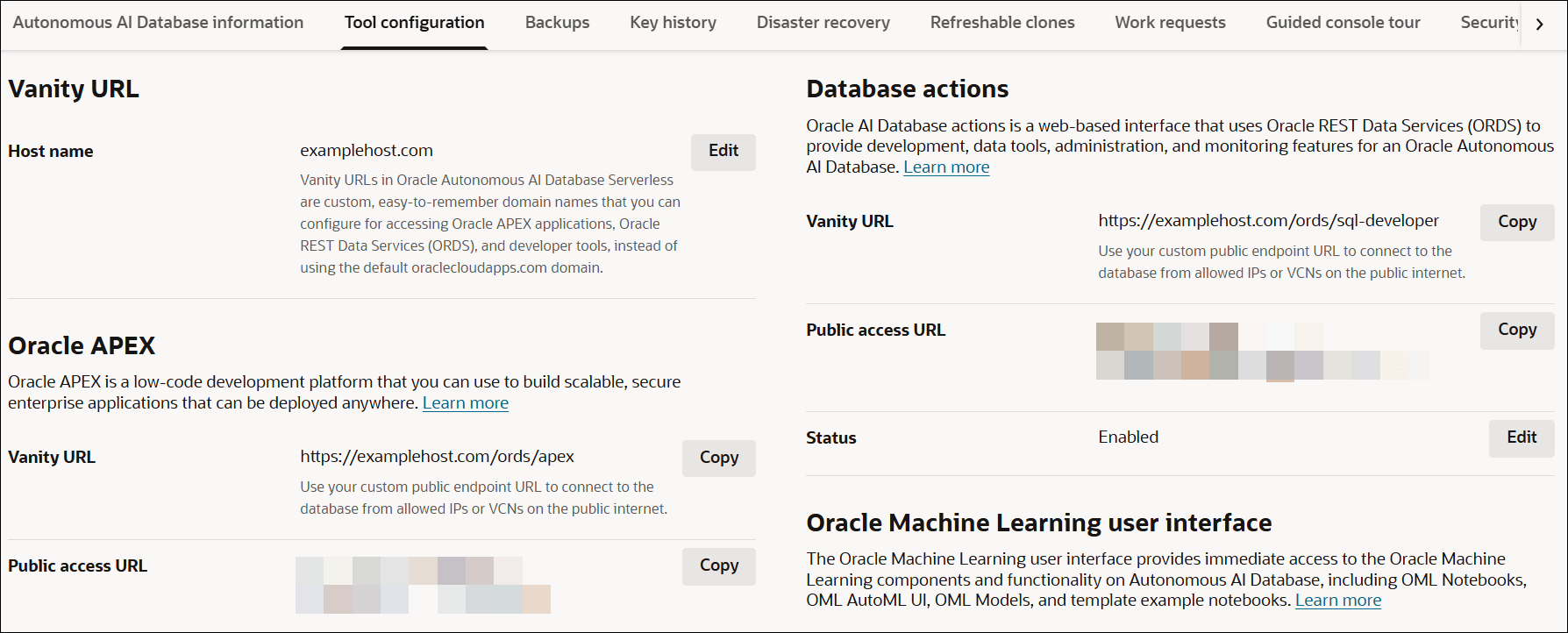 Description of adb-vanity-url-tool-configuration.png follows