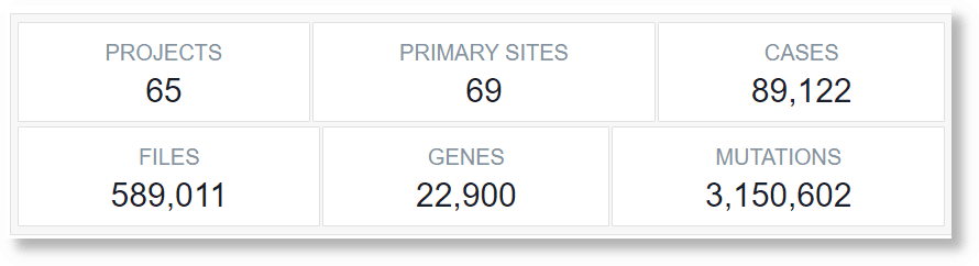 two rows of summary two rows of summary