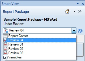 The Content Selector in the Smart View Panel, showing that Review 04 is selected.