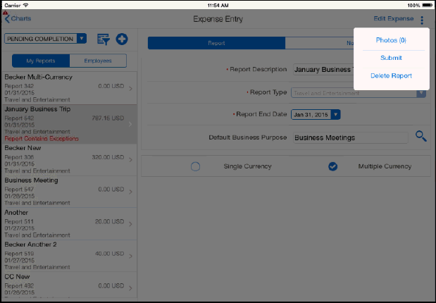 Submitting an Expense Report