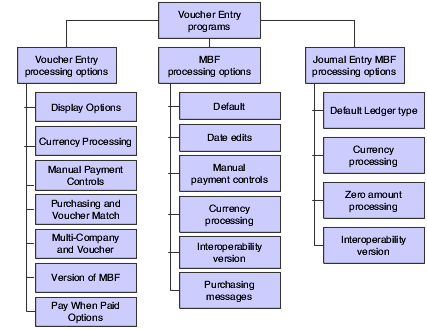 Processing options for voucher entry