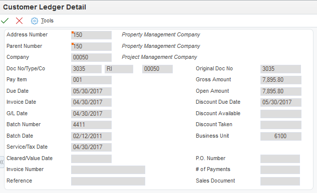 Customer Ledger Detail form
