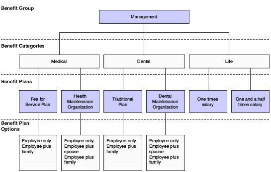 Relationship between benefit groups, categories, plans, and plan options