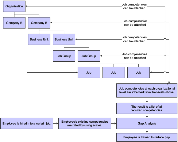 Competencies at various levels of an organization.