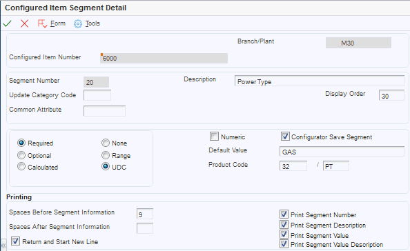 Configured Item Segment Detail form