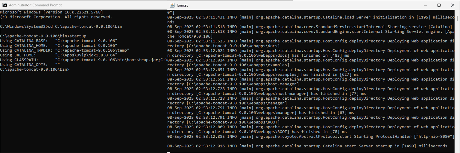 Apache Tomcat Server Startup
