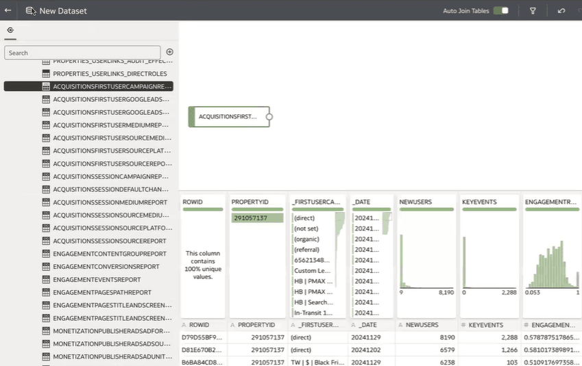 Description of google-analytics-dataset-designer.png follows