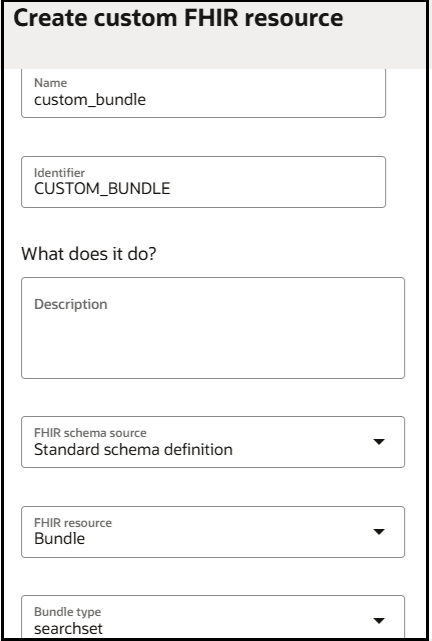 The Create custom FHIR resource page shows fields for Name, Identifier, Description, FHIR schema source, FHIR resource, and Bundle type.