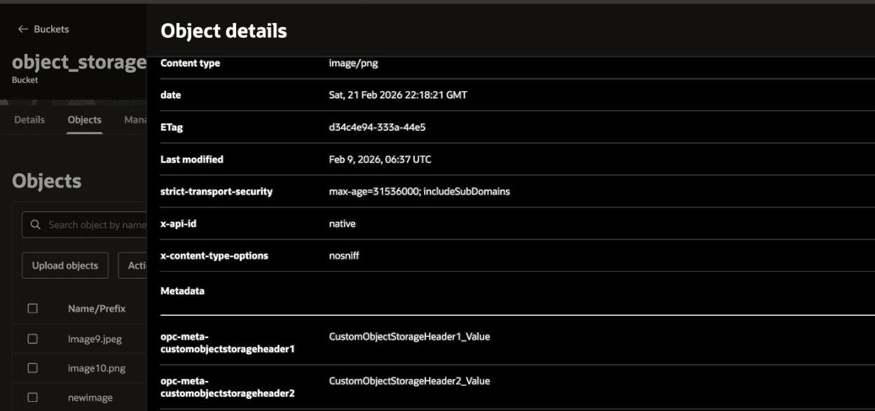 The Object details page shows the Content type, date, ETag, Last modified, strict-transport-security, x-api-id, and x-content-type0options parameters. Below this is the Metadata section, which shows the two response headers and their values. The actual header names and values appear in the text immediately above this image.