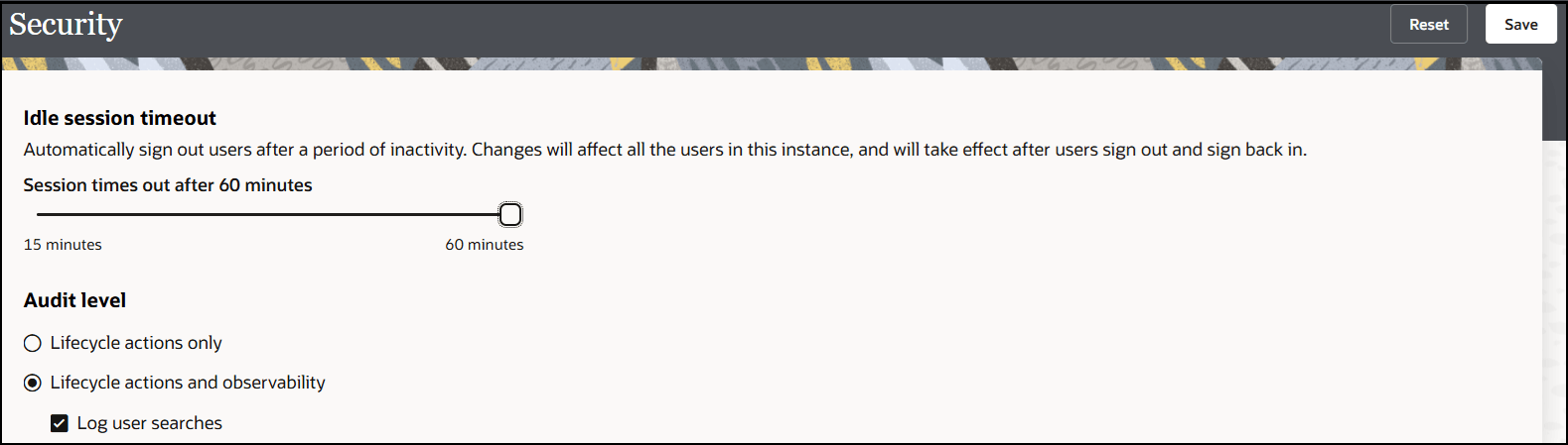The Idle session timeout section shows the Session times out after 15 minutes slider. The slider shows a maximum value of 60 seconds. The Audit level section shows options for Lifecycle actions only and Lifecycle actions and observability, which includes a suboption for Log user searches.