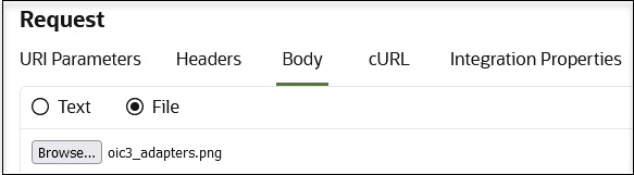 The URI Parameters, Headers, Body (selected), cURL, and Integration Properties tabs are shown. After this are the Test and File (selected) buttons. After this is the Choose File button. An image file has been selected. The URI Parameters, Headers, Body (selected), cURL, and Integration Properties tabs are shown. After this are the Test and File (selected) buttons. After this is the Choose File button. An image file has been selected.