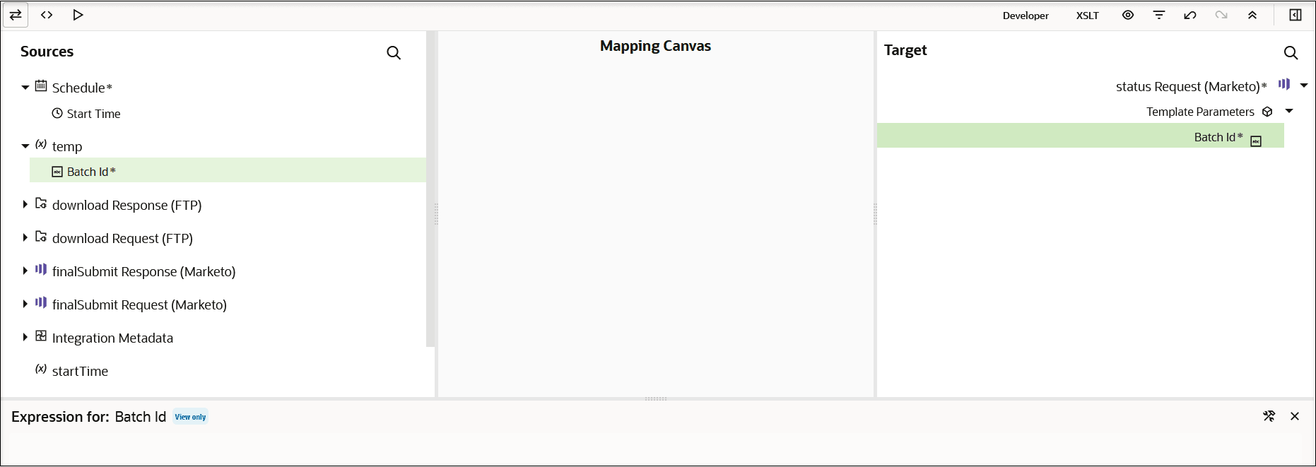 Three icons appear in the upper left. At the far right, Developer and XSLT links appear. Six more icons appear further right. Below are the Sources section, Mapping Canvas, and Target section. Mappings appear between the Sources and Target sections. Three icons appear in the upper left. At the far right, Developer and XSLT links appear. Six more icons appear further right. Below are the Sources section, Mapping Canvas, and Target section. Mappings appear between the Sources and Target sections.
