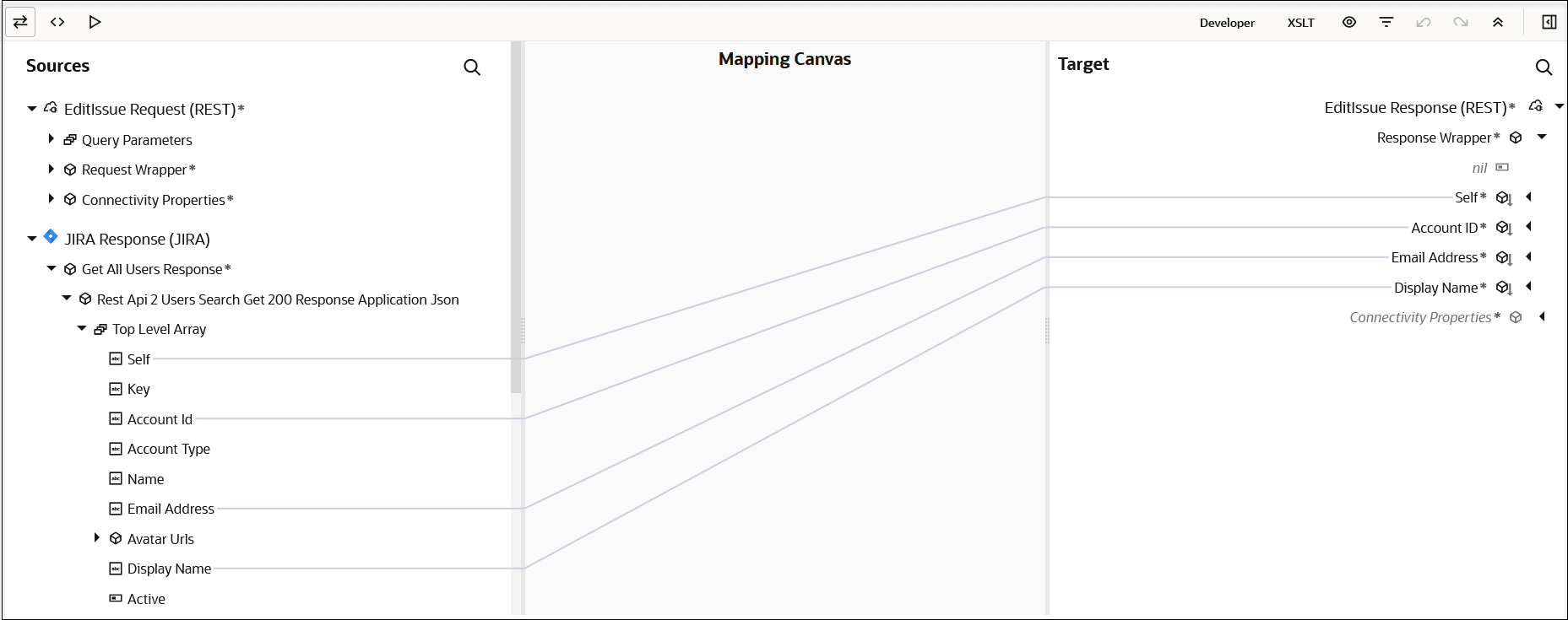 Three icons appear in the upper left. At the far right, Developer and XSLT links appear. Six more icons appear further right. Below are the Sources section, Mapping Canvas, and Target section. Mappings appear between the Sources and Target sections. Three icons appear in the upper left. At the far right, Developer and XSLT links appear. Six more icons appear further right. Below are the Sources section, Mapping Canvas, and Target section. Mappings appear between the Sources and Target sections.