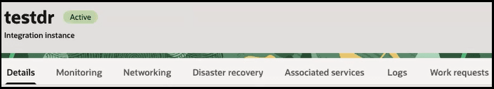 The instance name and the word Active next to it appear at the top. The Details (which is selected), Monitoring, Networking, Disaster recovery, Associated services, Logs, and Work requests tabs are shown. The instance name and the word Active next to it appear at the top. The Details (which is selected), Monitoring, Networking, Disaster recovery, Associated services, Logs, and Work requests tabs are shown.