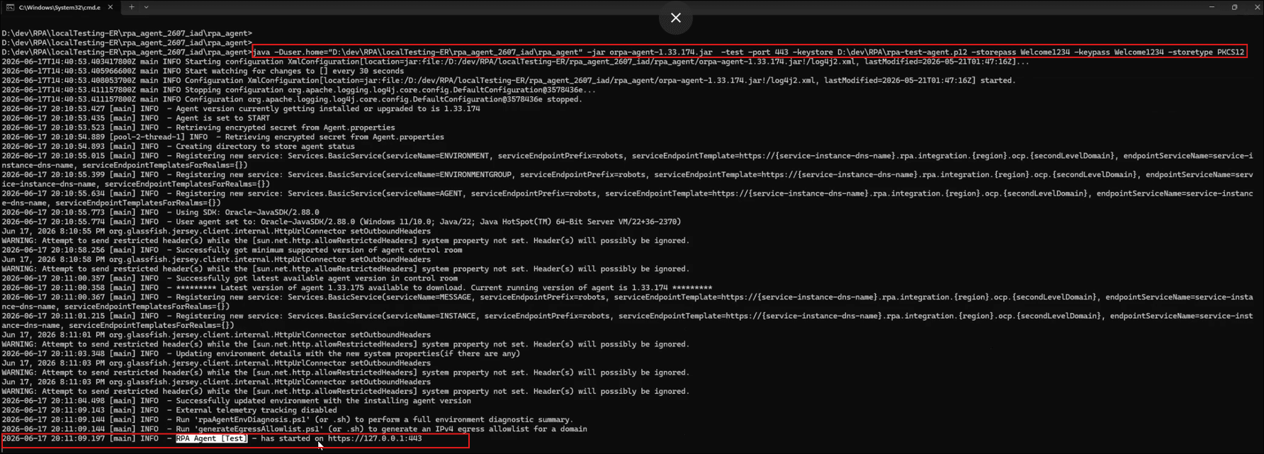 Start the robot agent for local testing from the command prompt.
