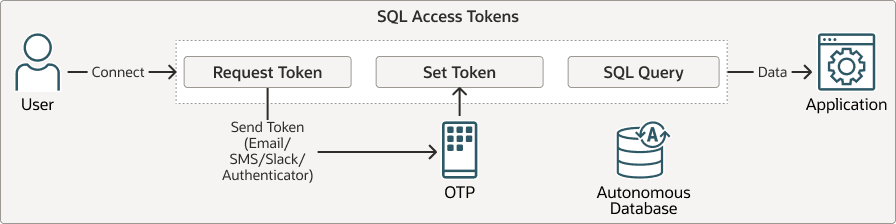 Description of autonomous-sqlaccesstoken-workflow.png follows