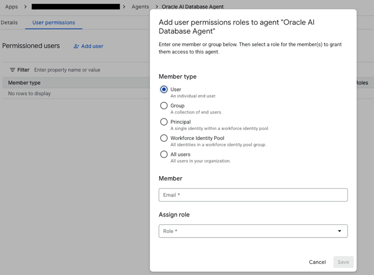 Provide permissions to use the agent