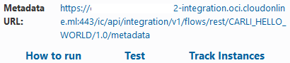 Endpoint URL and How to run, Test, and Track Instances links.