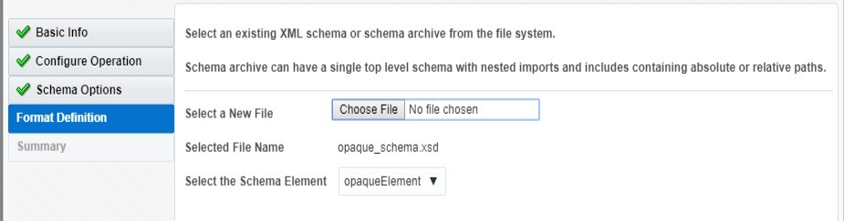 The Basic Info, Configure Operation, Schema Options, and Format Definition tabs are shown in the