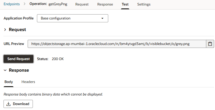 Screenshot showing the endpoint's Test tab with the Download button for saving the binary response.