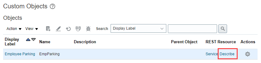 Description of customobject-describe1.png follows