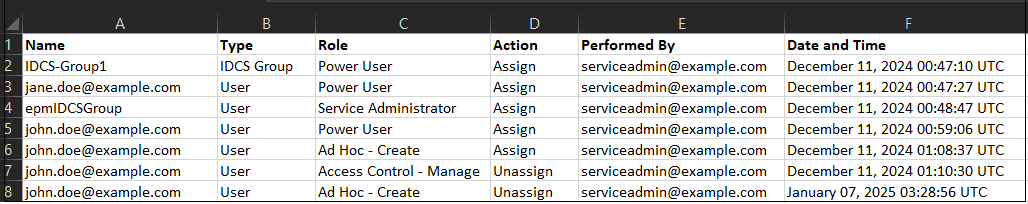 Sample Role Assignment Audit report