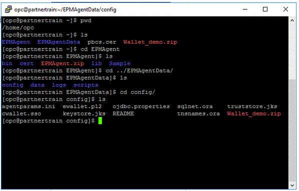 Image shows the Compute instance connected by Putty.