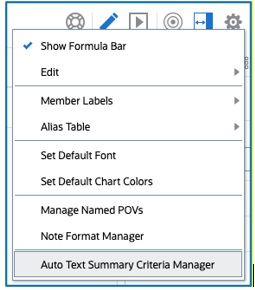 Auto Text Summary Criteria Manager