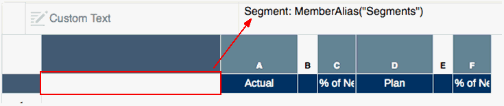 screenshot showing this formula: Segment: MemberAlias("Grid 1", "Segments") in top left cell screenshot showing this formula: Segment: MemberAlias("Grid 1", "Segments") in top left cell
